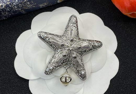 Brooch Dior 0035