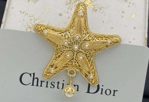 Brooch Dior 0040