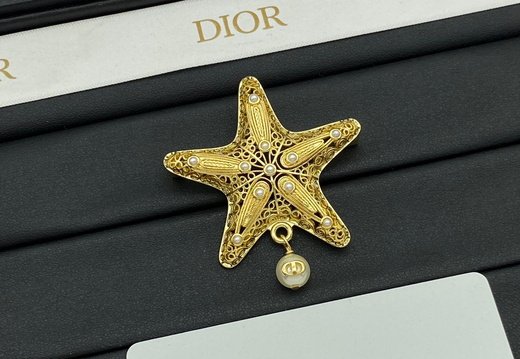 Brooch Dior 0041