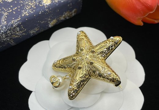 Brooch Dior 0048