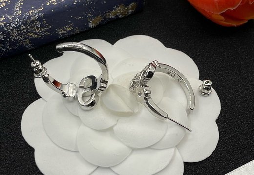 Earstuds Dior 0302