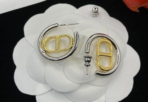 Earstuds Dior 0341