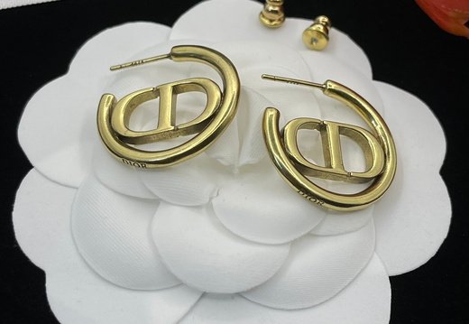Earstuds Dior 0342