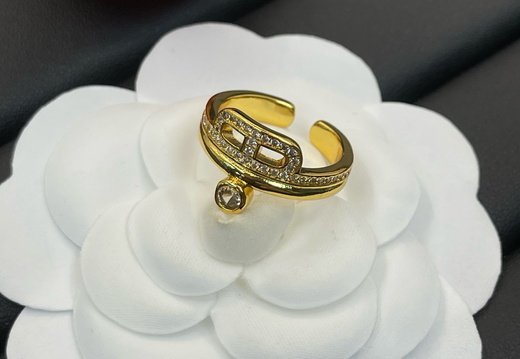 Ring Hermes 0007