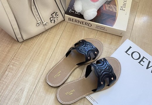 Celine A026 202505060003