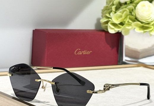 Cartier 0035