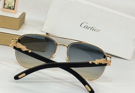 Cartier 0045