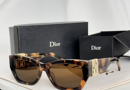 Dior 0025