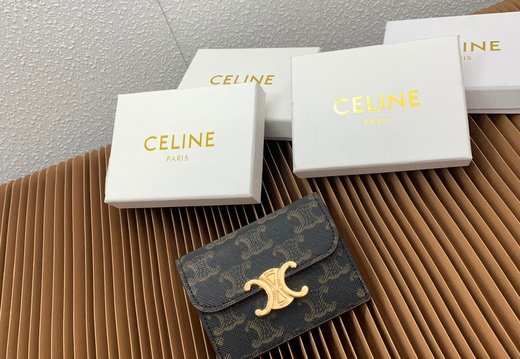 Celine A018 20250330 0001.