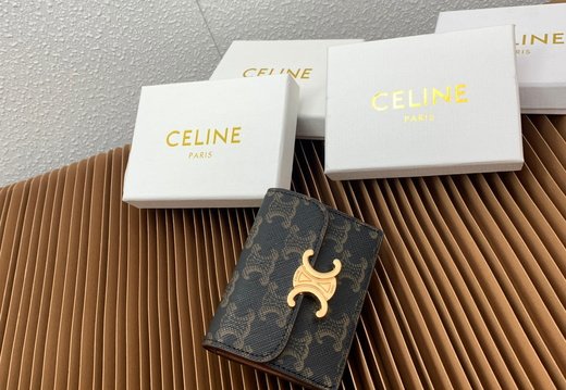 Celine A018 20250330 0002.