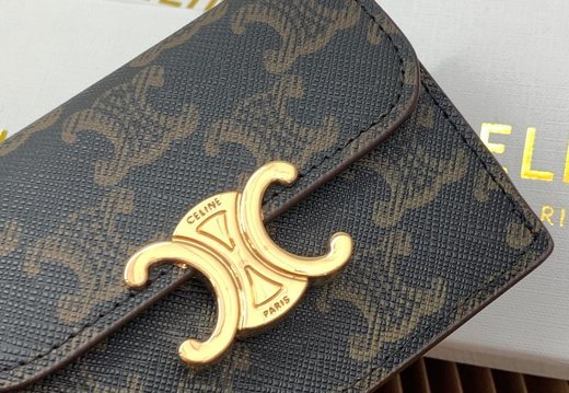 Celine A018 20250330 0005.