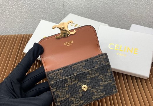 Celine A018 20250330 0007.