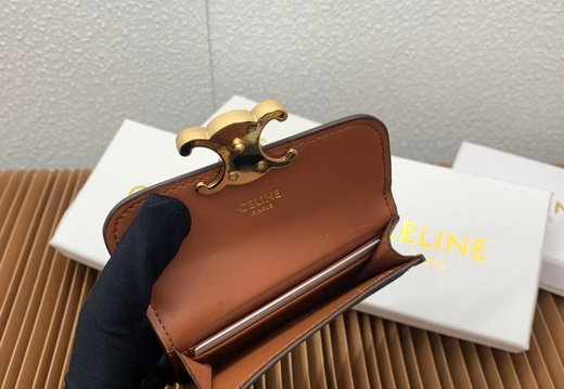 Celine A018 20250330 0009.