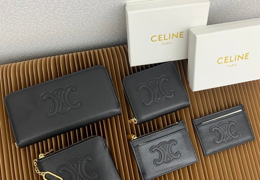 Celine A018 20250330 0021.