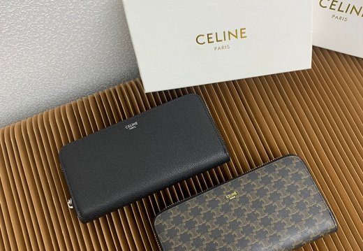 Celine A018 20250330 0022.