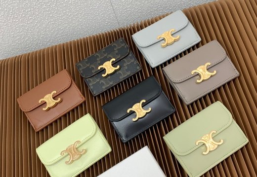 Celine A018 20250330 0023.