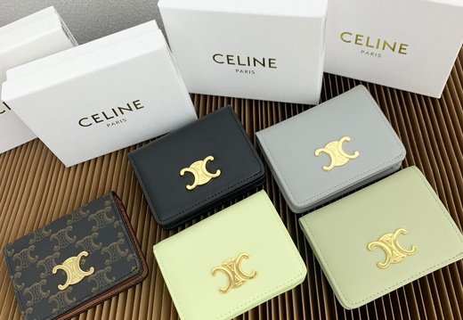 Celine A018 20250330 0026.
