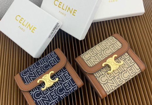 Celine A018 20250330 0032.