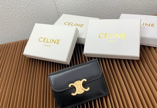 Celine A018 20250330 0037.