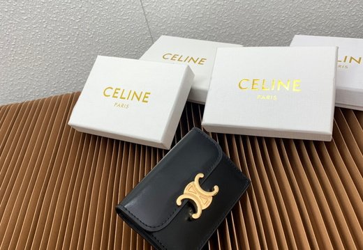 Celine A018 20250330 0038.