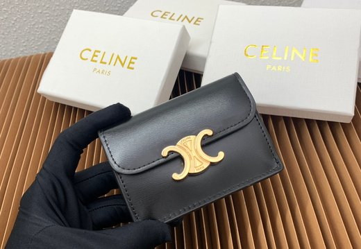 Celine A018 20250330 0040.