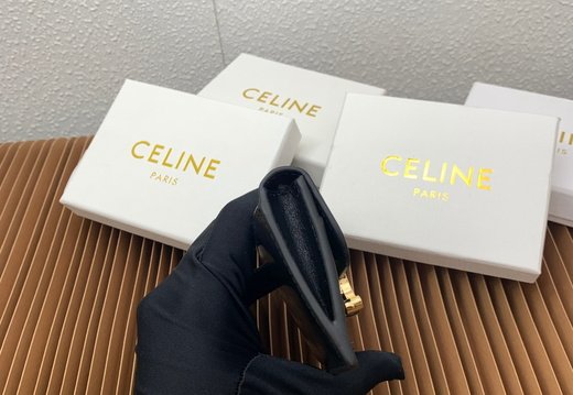Celine A018 20250330 0042.