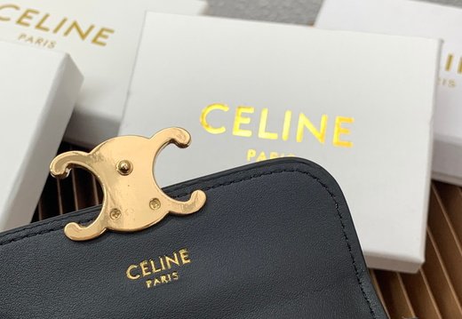 Celine A018 20250330 0044.