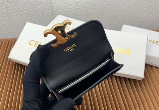 Celine A018 20250330 0045.