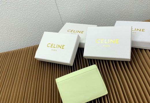 Celine A018 20250330 0048.