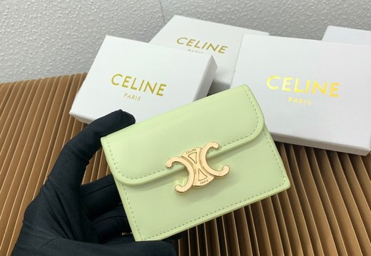 Celine A018 20250330 0049.